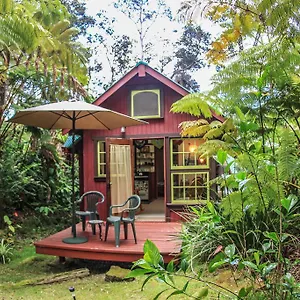  Holiday home Ferny Hollow: Romantic Rainforest